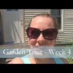 A Garden Tour  – Week Four