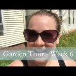 A Garden Tour – Week Six