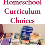 Homeschool Curriculum: 9th Grade Curriculum Choices