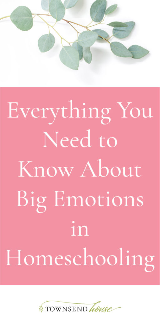Everything You Need to Know about Big Emotions in Homeschooling