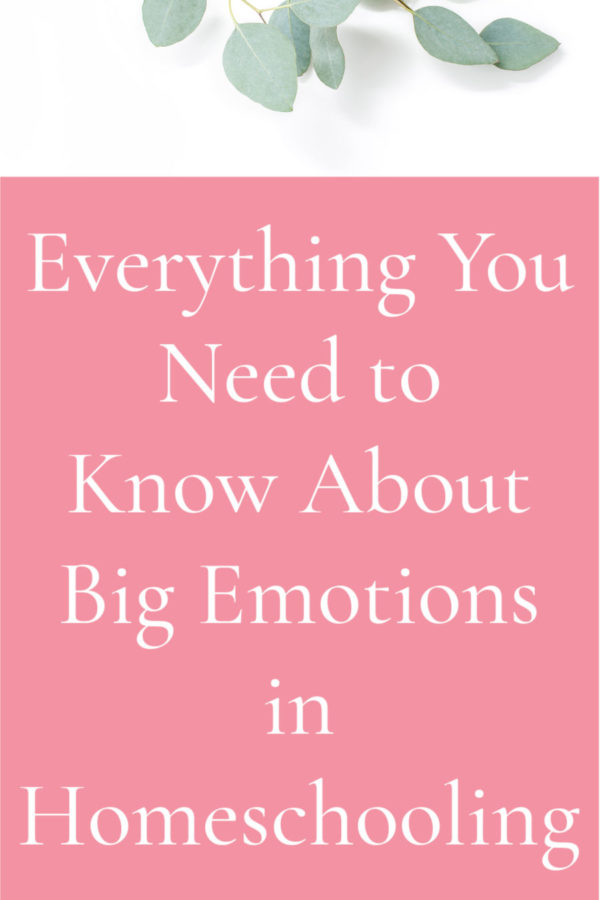 Everything You Need to Know about Big Emotions in Homeschooling