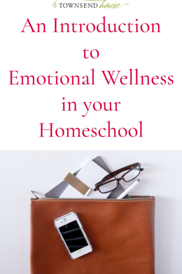 An Introduction to Emotional Wellness in your Homeschool