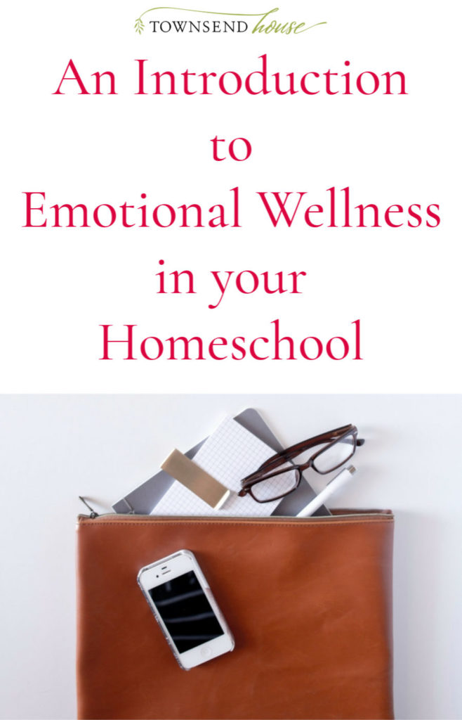 An Introduction to Emotional Wellness in your Homeschool