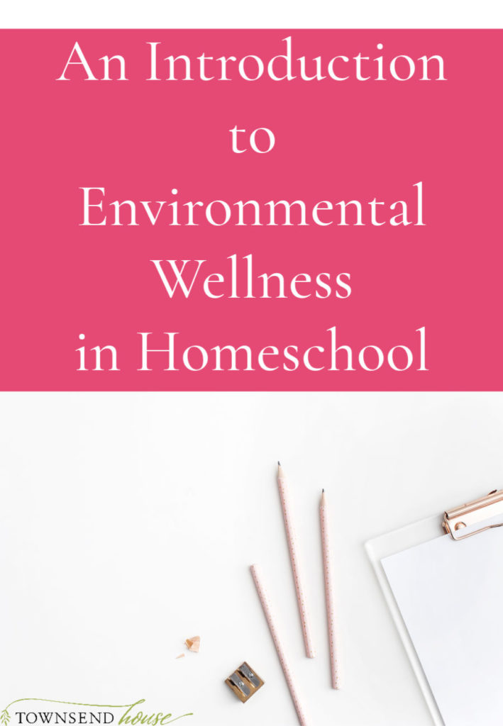 Environmental Wellness in Homeschool