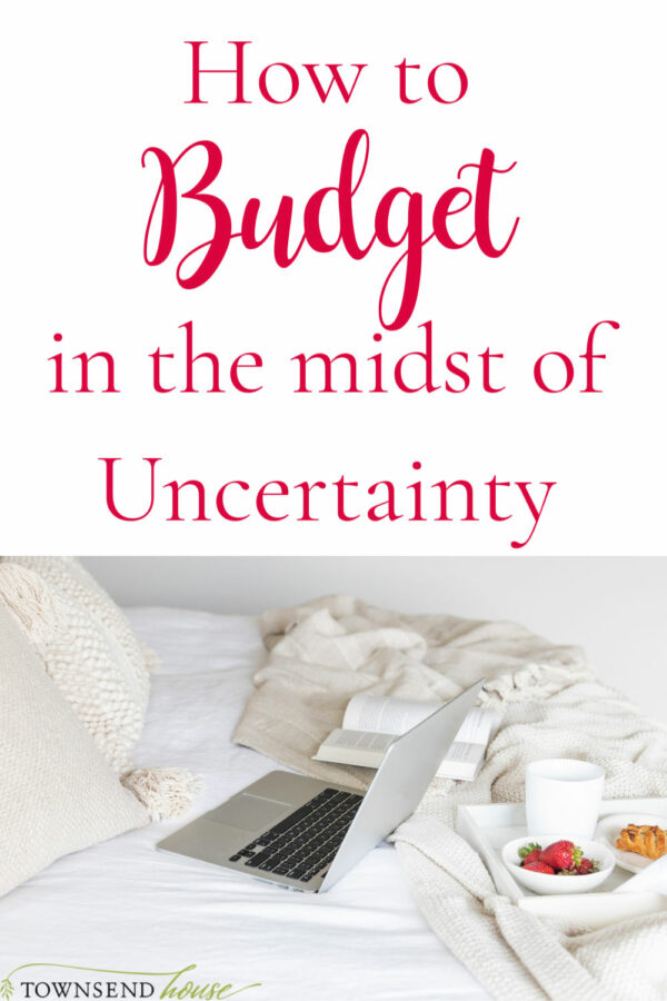 Budget in the Midst of Uncertainty