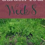 Garden Tour – Week 8