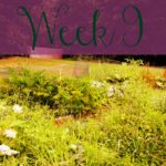 A Garden Tour – Week Nine