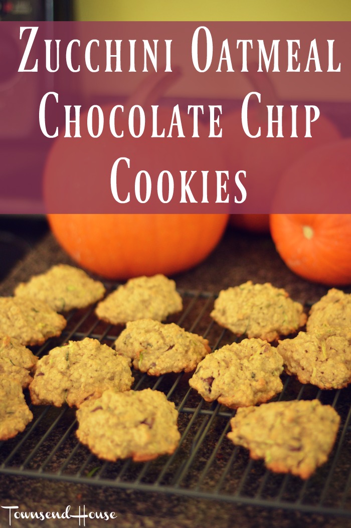 Zucchini Oatmeal Chocolate Chip Cookies Recipe