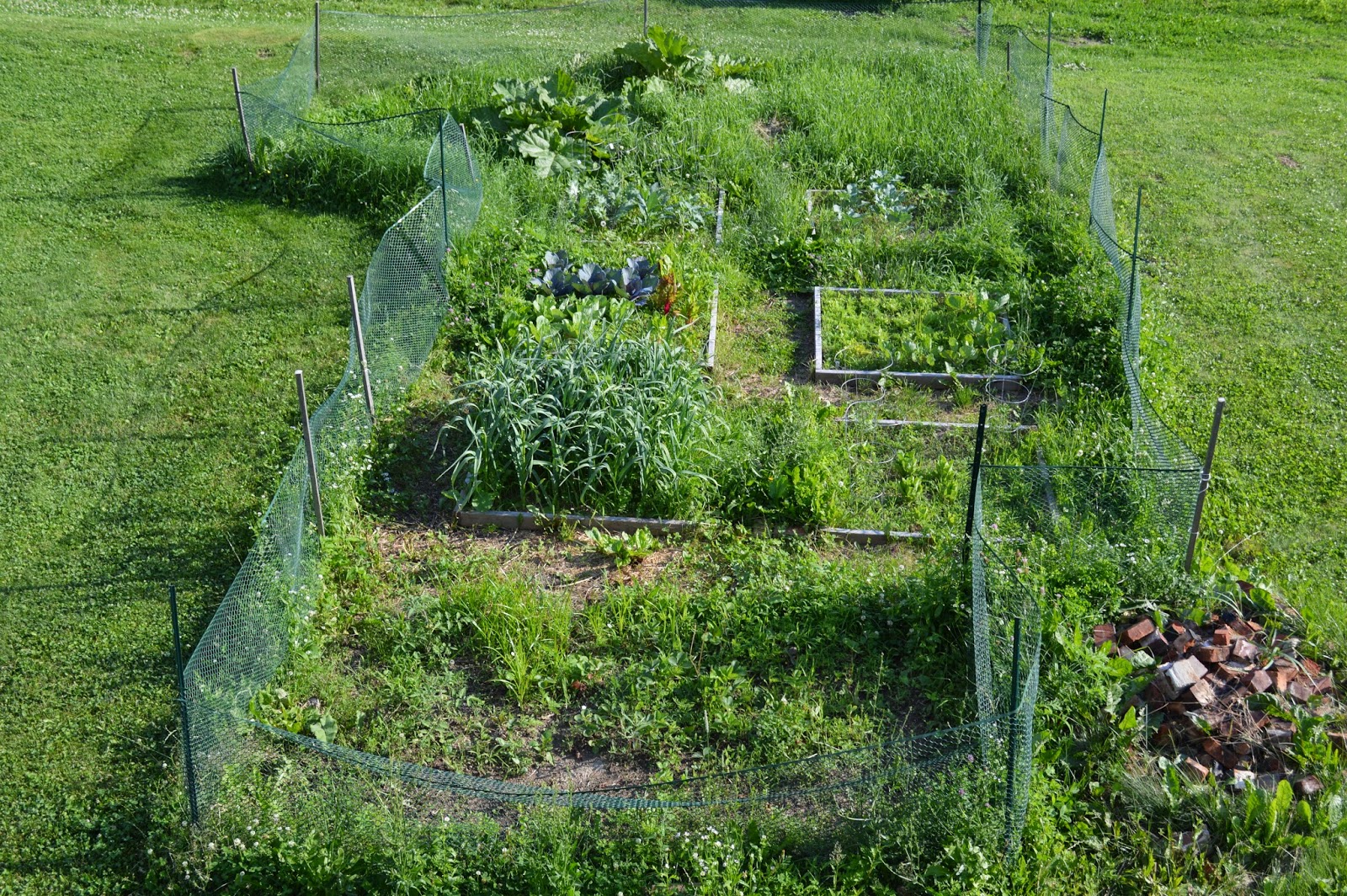 garden happenings