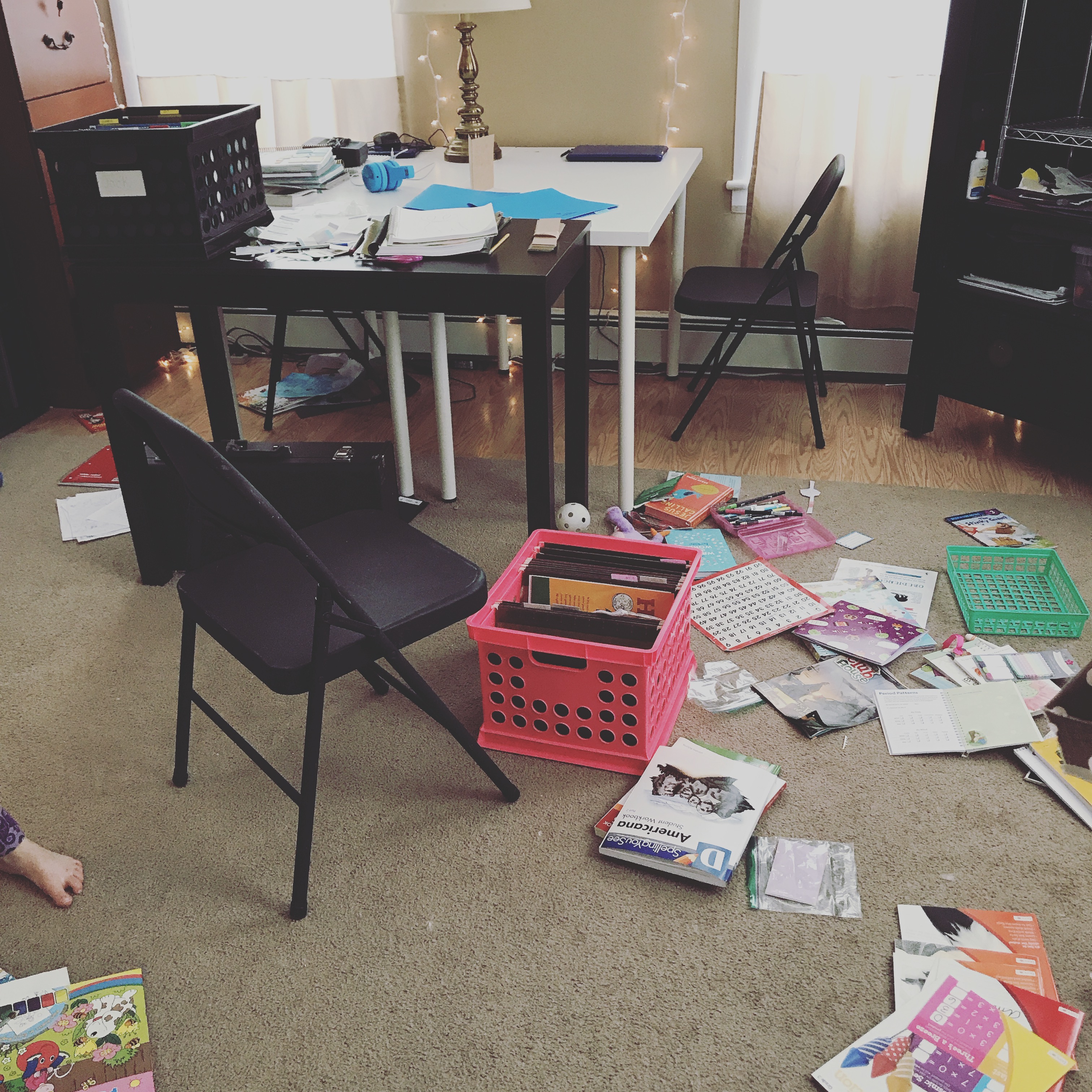 Project Re-organize the Homeschool Curriculum