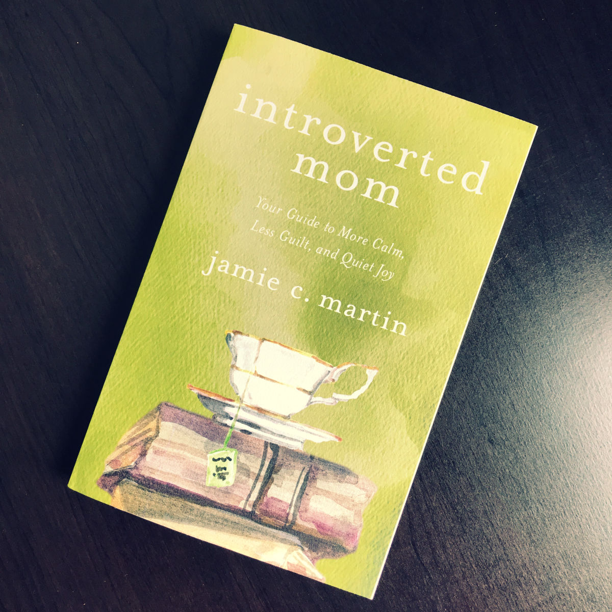 Introverted Mom – Jamie C. Martin