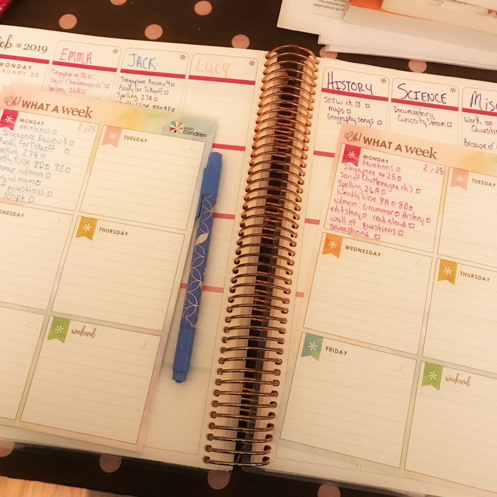 Erin Condren Teacher Planner