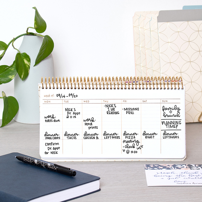 Erin Condren Weekly Schedule Pad