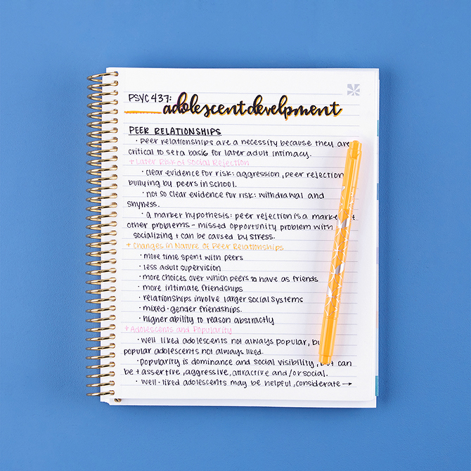 Erin Condren Coiled Notebook